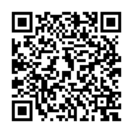 QR code for 2DHJ236