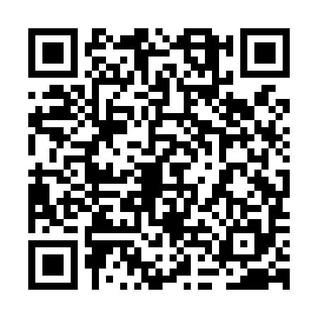 QR code for 2DHL954