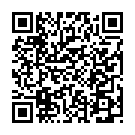 QR code for 2DHS600