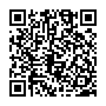 QR code for 2DIE486