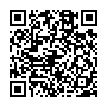 QR code for 2DIF197