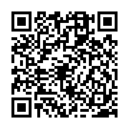 QR code for 2DIG334