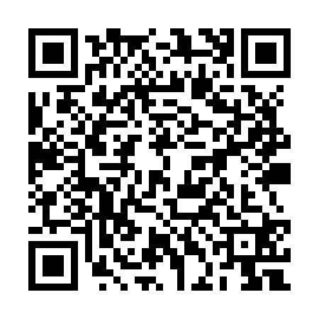 QR code for 2DIZ209