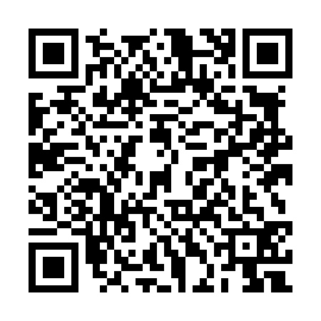 QR code for 2DML323