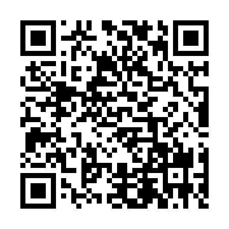 QR code for 2DMX394