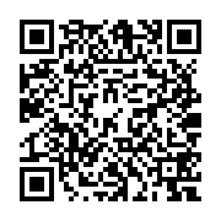 QR code for 2DNZ589