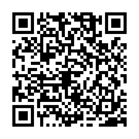 QR code for 2DOL338