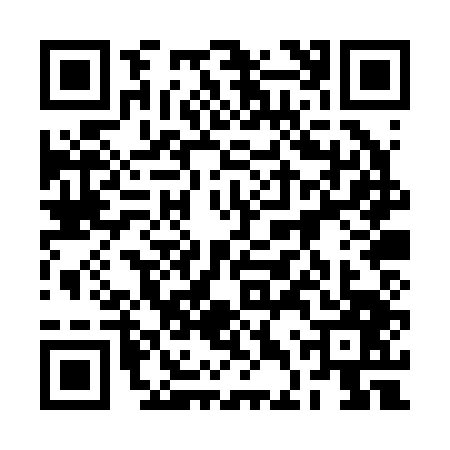QR code for 2DPR476