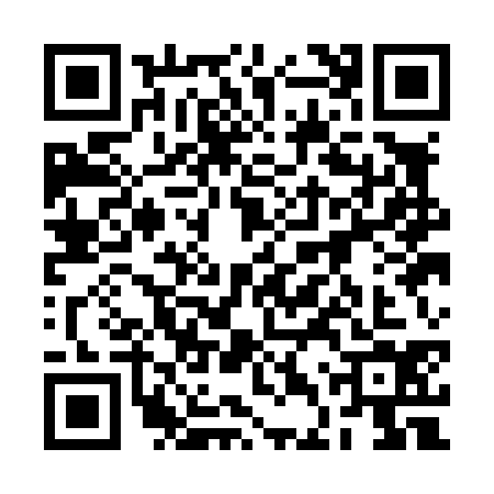 QR code for 2DQL346