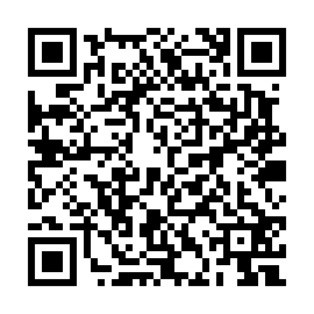 QR code for 2DQT225
