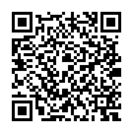 QR code for 2DQU539