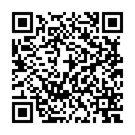 QR code for 2DSH653