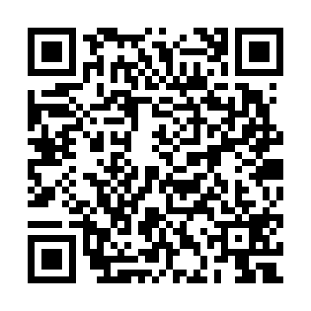 QR code for 2DSV197