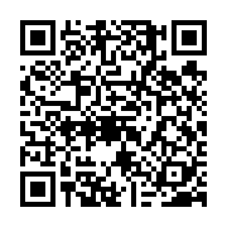 QR code for 2DSV294