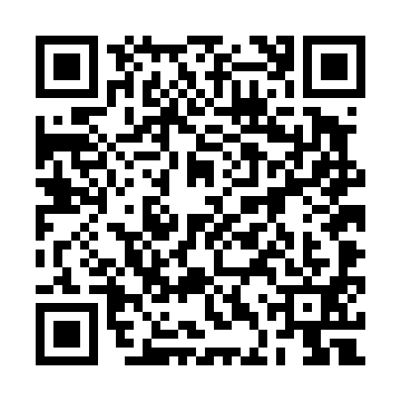QR code for 2DTD917