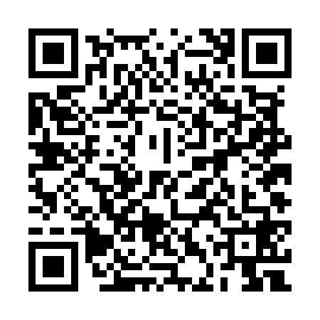 QR code for 2DTM689