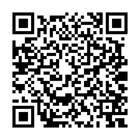 QR code for 2DTT034