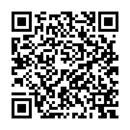 QR code for 2DUA133