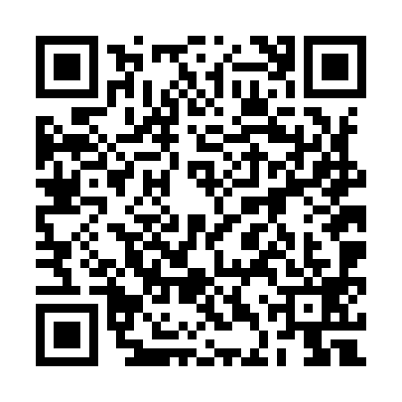 QR code for 2DVI996