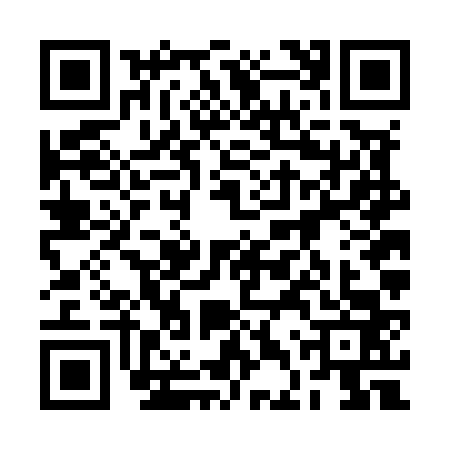 QR code for 2DVM636