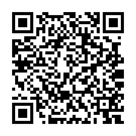 QR code for 2DVP520