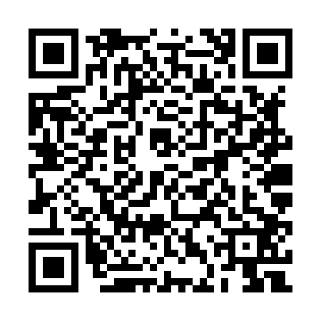 QR code for 2DVX029