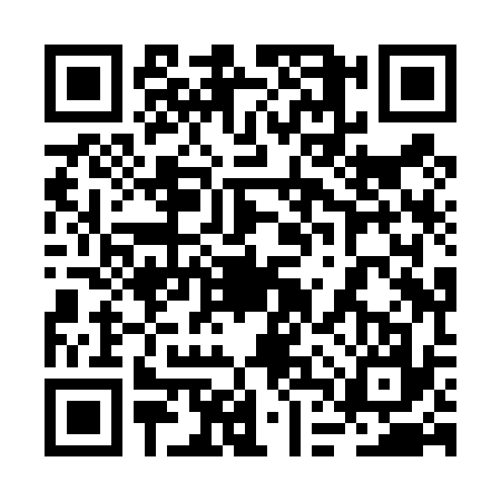 QR code for 2DXT375
