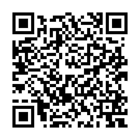 QR code for 2DYG410