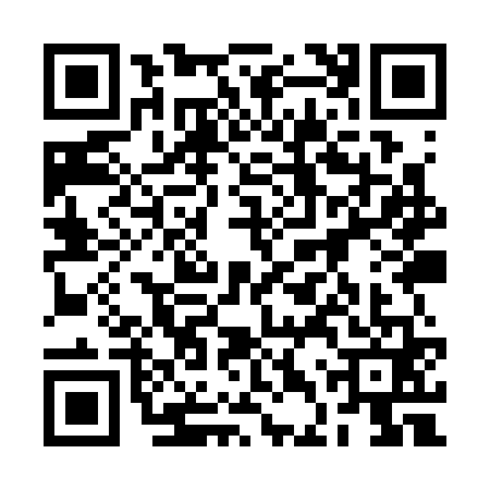 QR code for 2DYS611