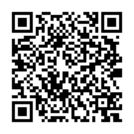 QR code for 2DYT363