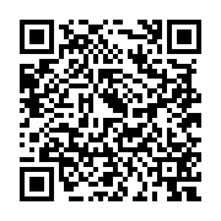 QR code for 2FEM538