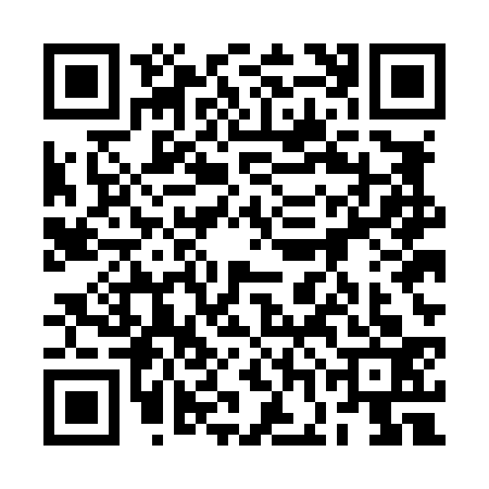 QR code for 2GEL338