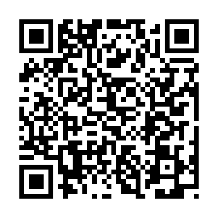 QR code for 2GFA294
