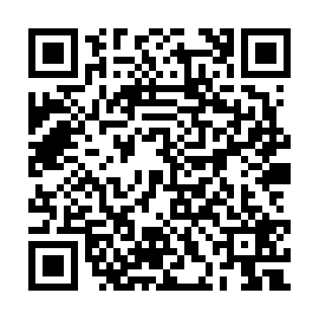 QR code for 2HHV294