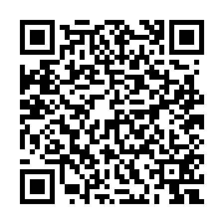 QR code for 2HPG510