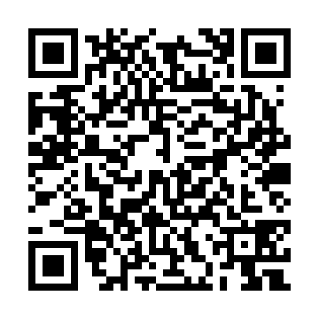 QR code for 2HPR385