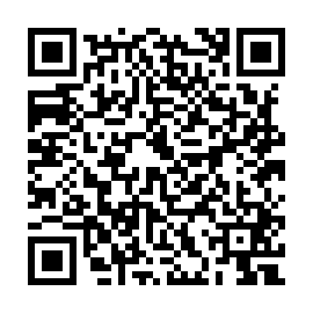 QR code for 2HQI413