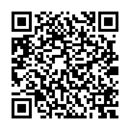 QR code for 2HQP091