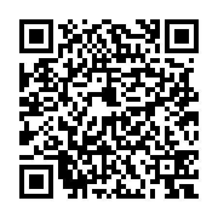 QR code for 2HSE394