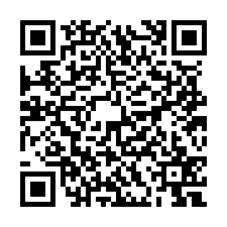 QR code for 2HSO376
