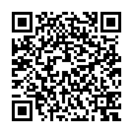 QR code for 2HSO391