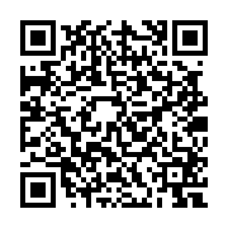 QR code for 2HSP448
