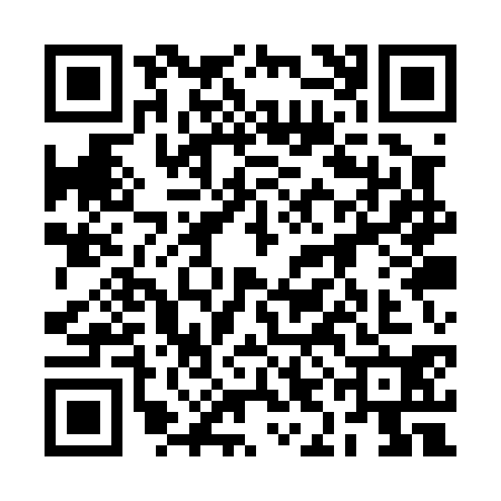 QR code for 2IAP304