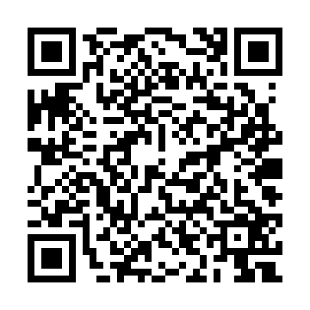 QR code for 2IDS266