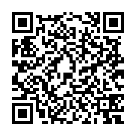 QR code for 2IEM383