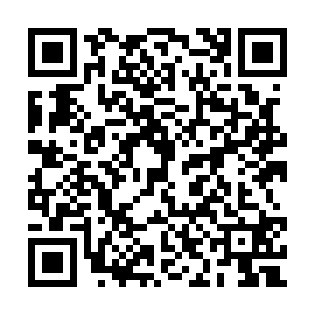 QR code for 2IIA203