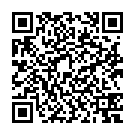 QR code for 2IIA380