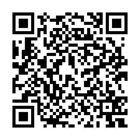 QR code for 2IIC372