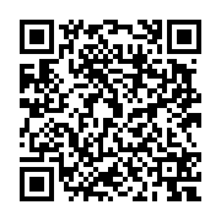 QR code for 2IID247