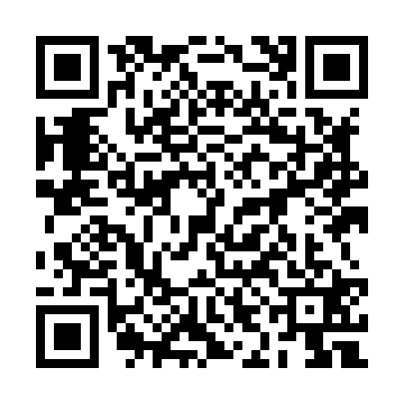 QR code for 2IIH219